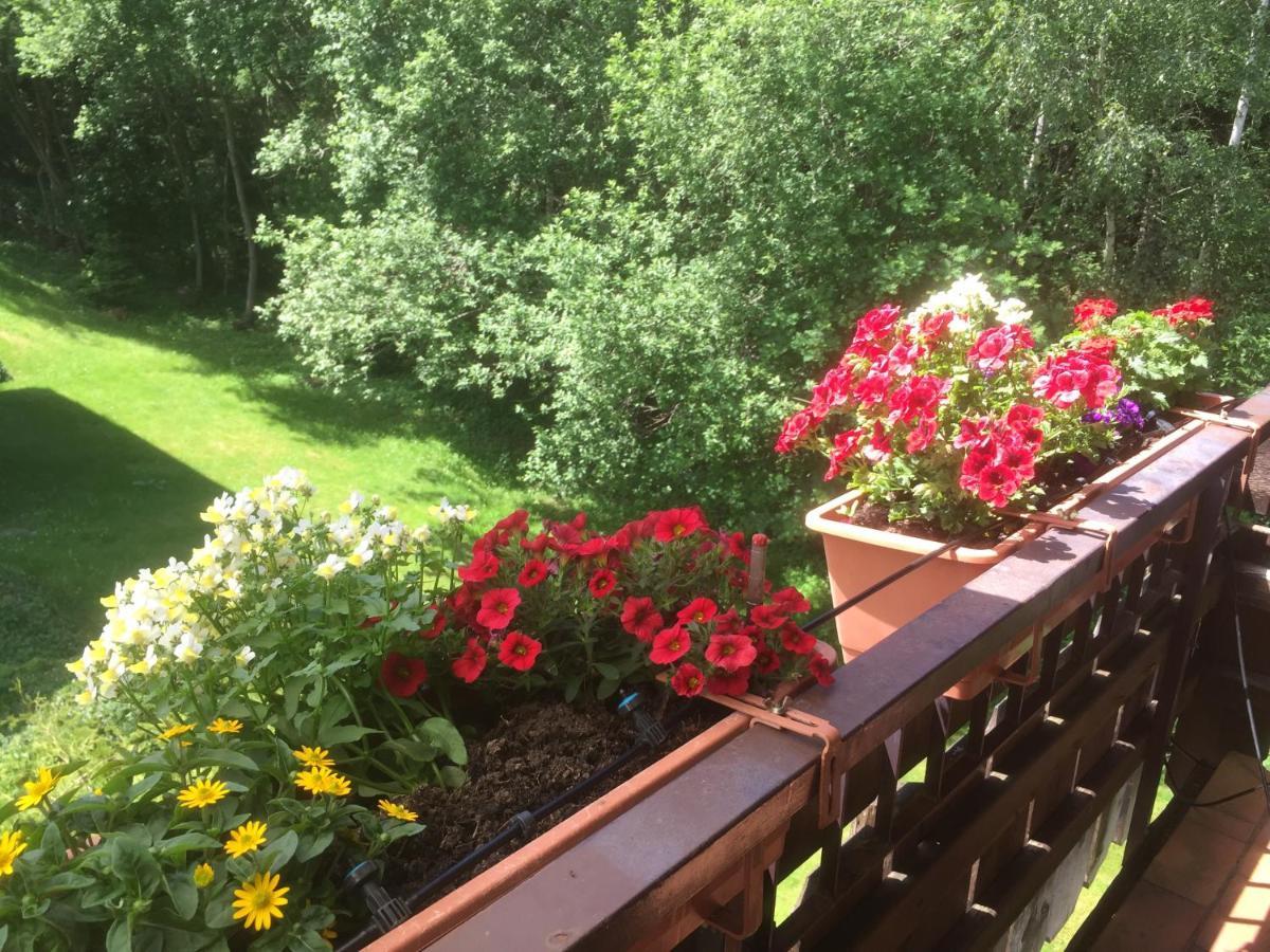 Ferienwohnung Kuckuck Auf Dem Sommerberg Incl Schwarzwaldcard Plus - 2 Zimmer 50Qm باد ويلباد المظهر الخارجي الصورة