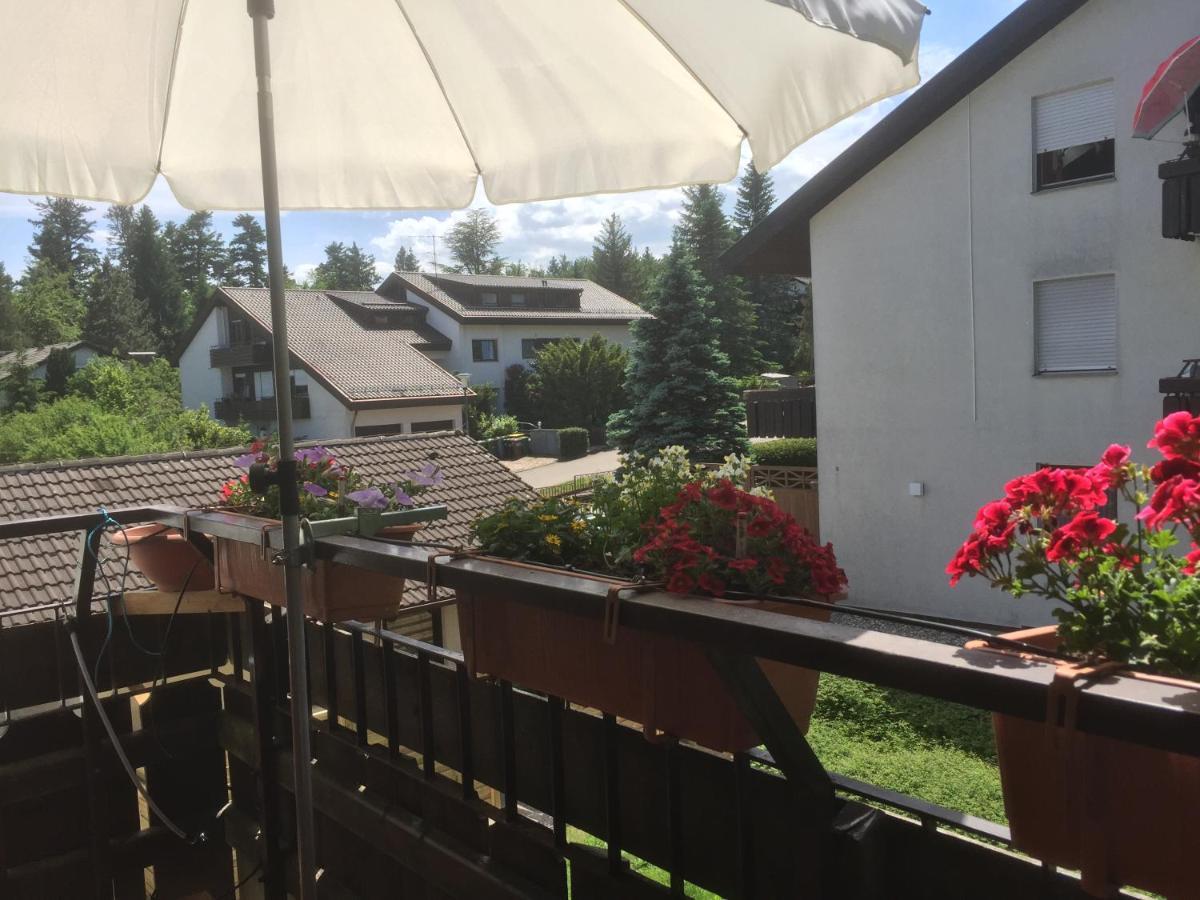 Ferienwohnung Kuckuck Auf Dem Sommerberg Incl Schwarzwaldcard Plus - 2 Zimmer 50Qm باد ويلباد المظهر الخارجي الصورة