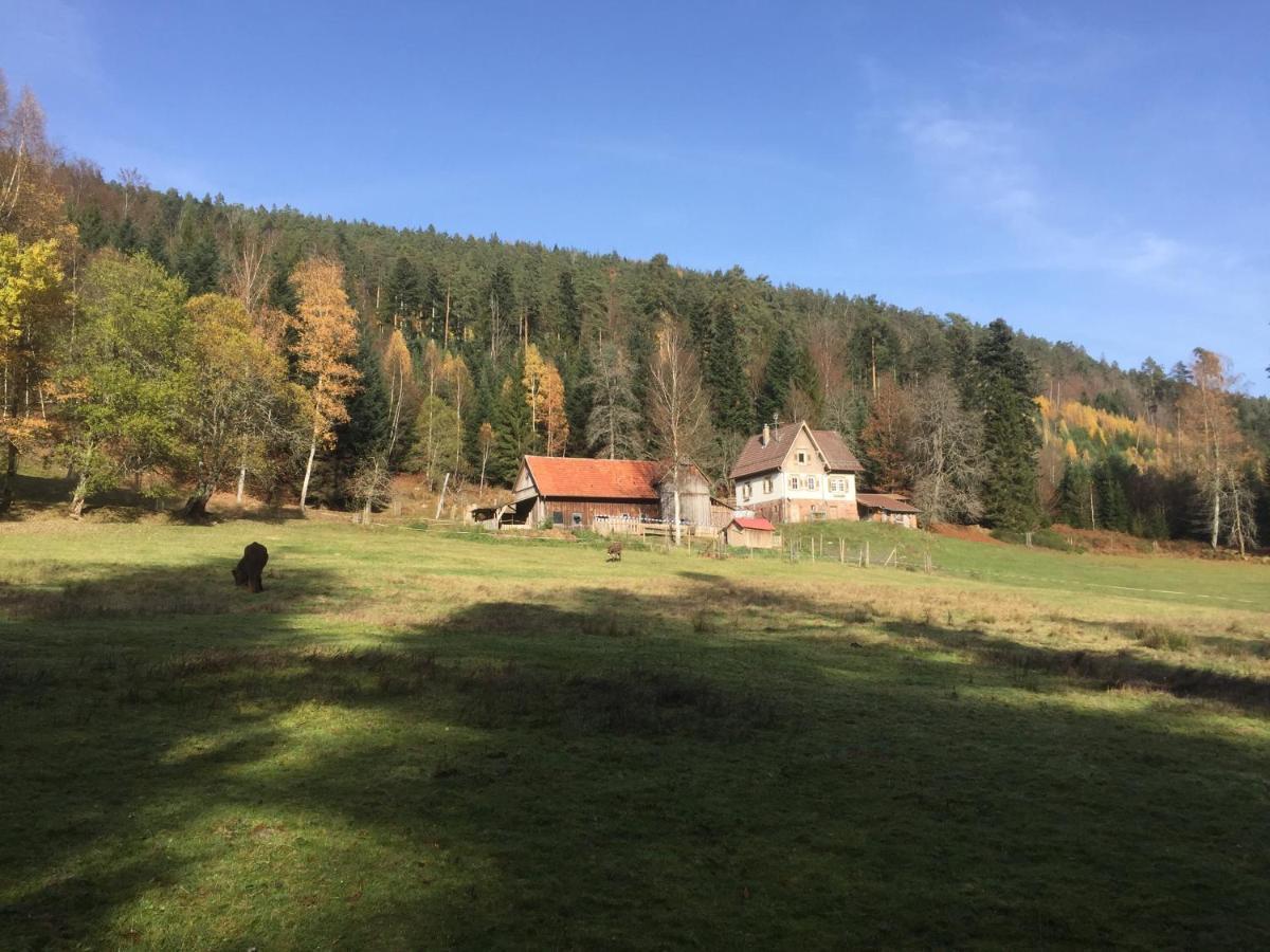 Ferienwohnung Kuckuck Auf Dem Sommerberg Incl Schwarzwaldcard Plus - 2 Zimmer 50Qm باد ويلباد المظهر الخارجي الصورة